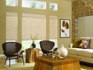 Roman Shades window treatment, example 1